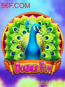 Explorando o Universo do Jogo DoubleFly: Regulamentos e Inovações